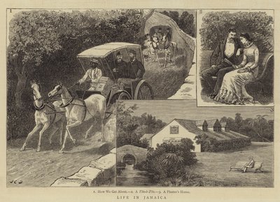 Vida en Jamaica de John Charles Dollman